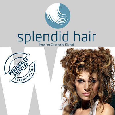 Splendid Hair - Totter